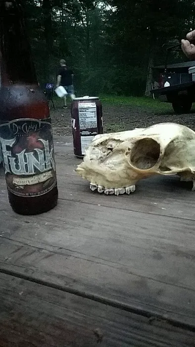 Group Campsite G-5 Picture 4