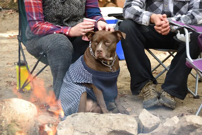 Group Campsite G-5 Picture 3