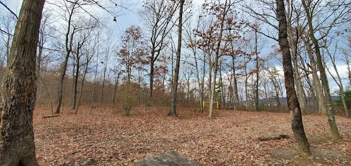 Green Ridge State Forest, campsite #83 Picture 3