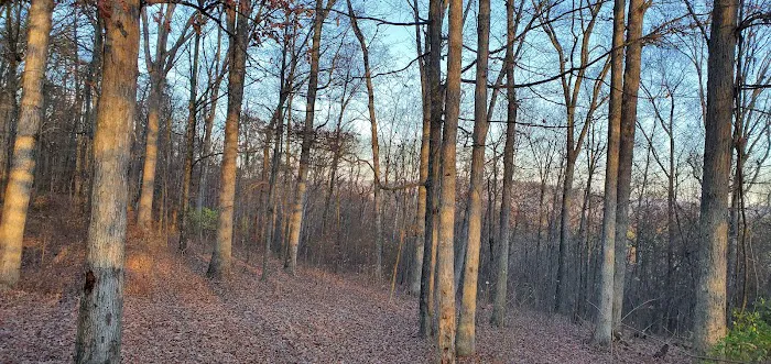 Green Ridge State Forest, campsite #83 Picture 2