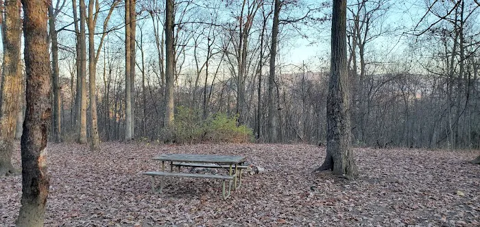 Green Ridge State Forest, campsite #83 Picture 1