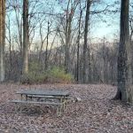 Green Ridge State Forest, campsite #83