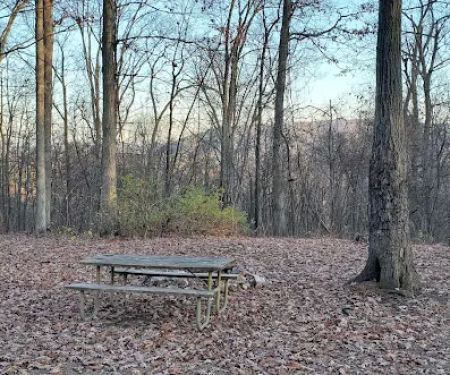 Green Ridge State Forest, campsite #83