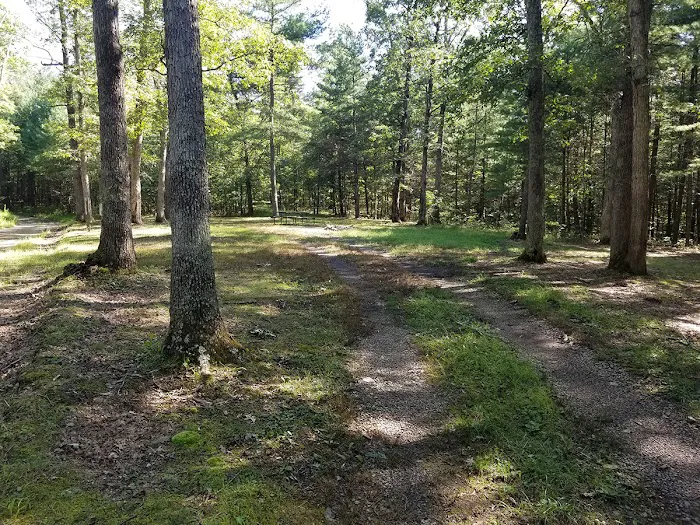 Green Ridge State Forest Campsite #7 Picture 4