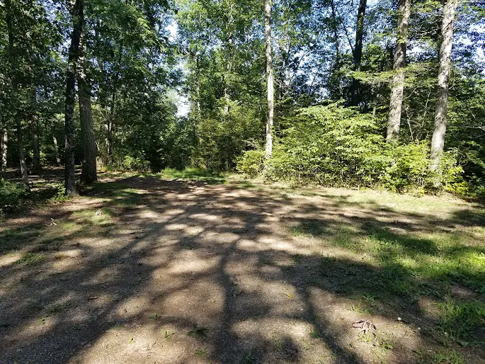 Green Ridge State Forest Campsite #7 Picture 3