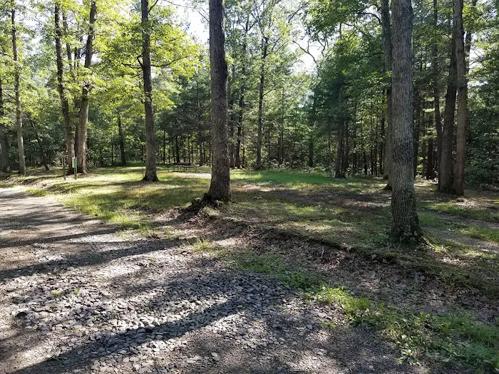 Green Ridge State Forest Campsite #7 Picture 2