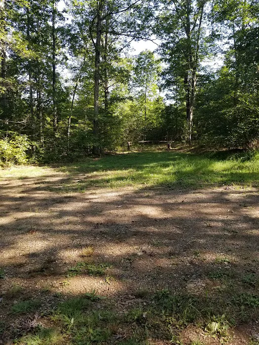 Green Ridge State Forest Campsite #7 Picture 5