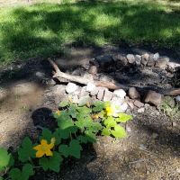 Green Ridge State Forest Campsite #7 ico