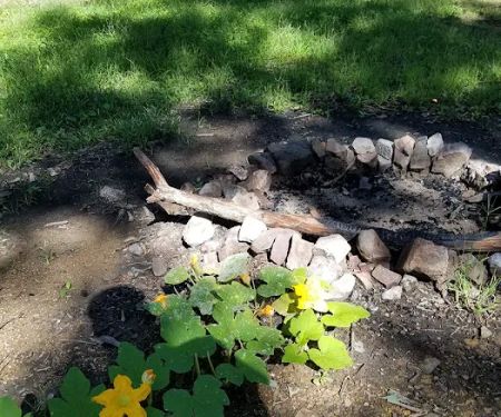 Green Ridge State Forest Campsite #7