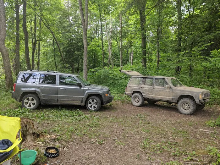 Green Ridge Campsite #81 Picture 10