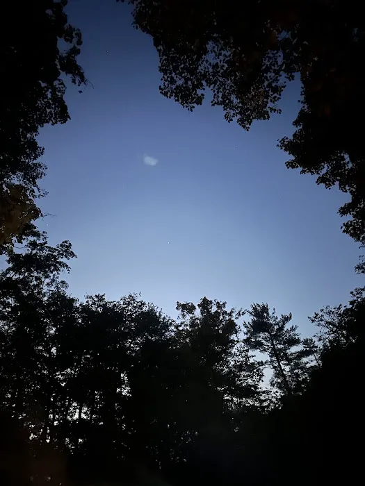 Green Ridge Campsite #81 Picture 4