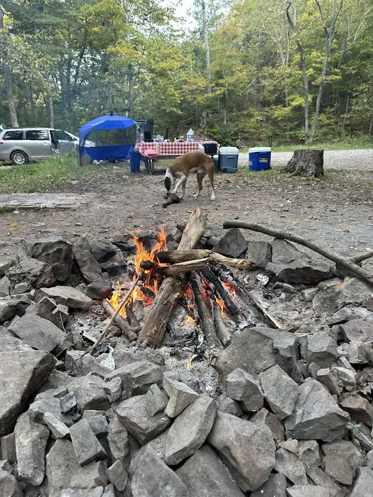 Green Ridge Campsite #81 Picture 7