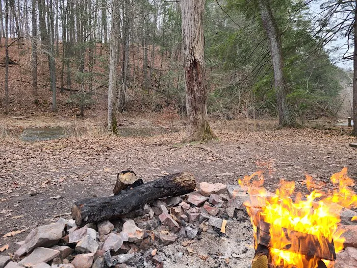 Green Ridge Campsite #81 Picture 2