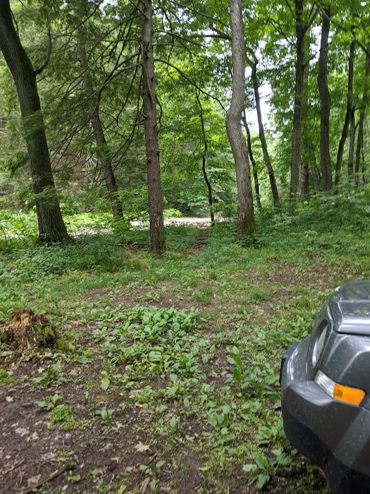 Green Ridge Campsite #81 Picture 9