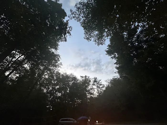 Green Ridge Campsite #81 Picture 3