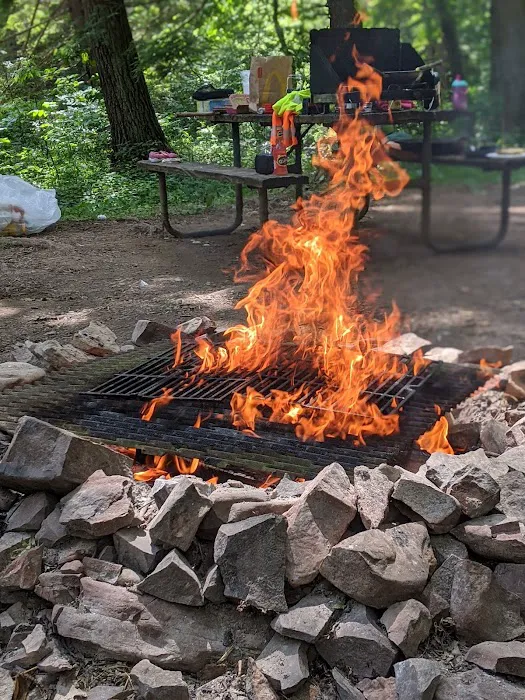 Green Ridge Campsite #81 Picture 8