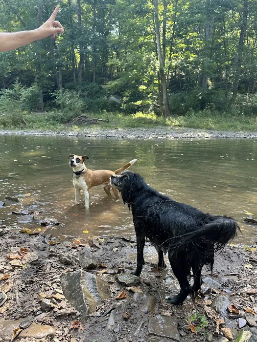 Green Ridge Campsite #81 Picture 6