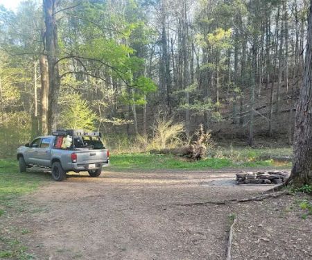 Green Ridge Campsite #81