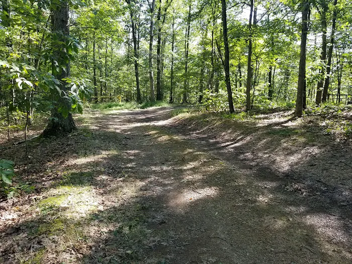 Green Ridge State Forest Campsite #8 Picture 2