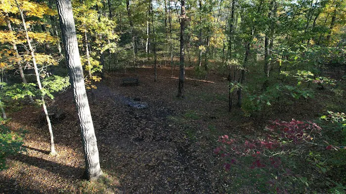 Green Ridge State Forest Campsite #8 Picture 1