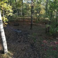 Green Ridge State Forest Campsite #8 ico