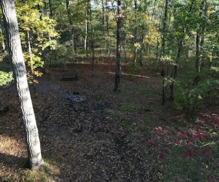 Green Ridge State Forest Campsite #8