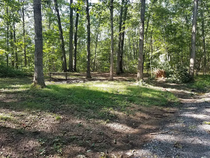 Green Ridge State Forest Campsite #8 Picture 3