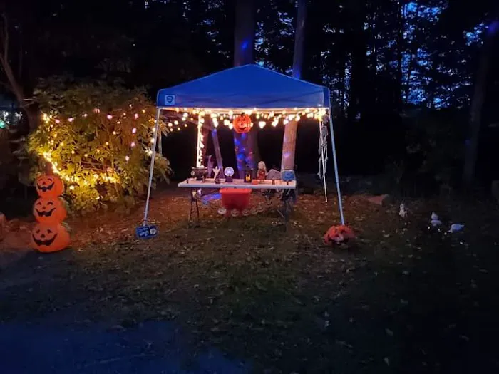 Choice Camping Court Picture 4