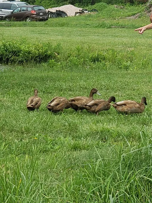 Sawmill Campground Picture 6