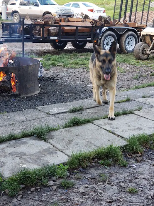 Sawmill Campground Picture 5