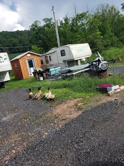 Sawmill Campground Picture 1