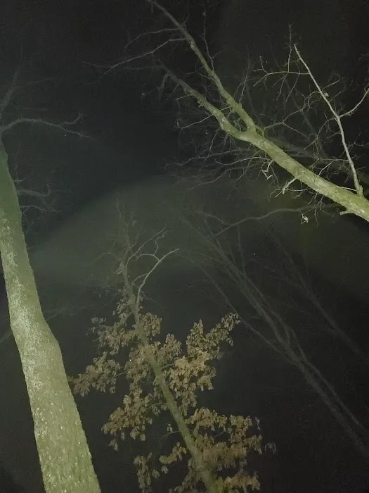 Campsite # 5 Picture 1