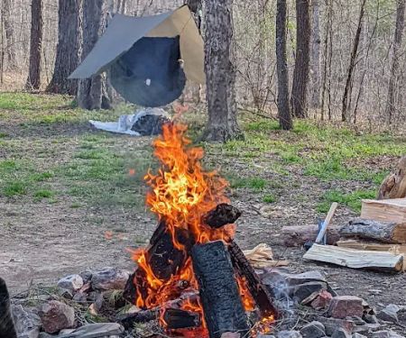 Green Ridge State Forest Camp Site #6