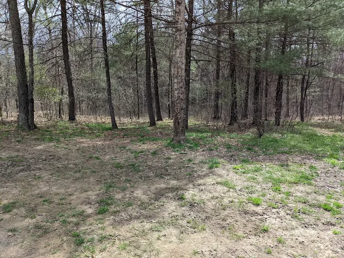 Green Ridge State Forest Camp Site #6 Picture 2