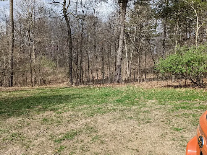 Green Ridge State Forest Camp Site #6 Picture 3