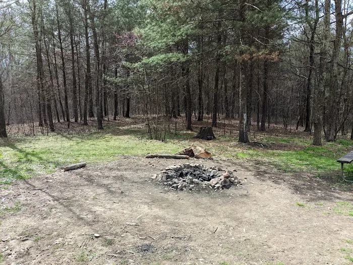 Green Ridge State Forest Camp Site #6 Picture 6