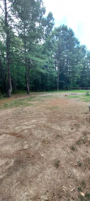 Green Ridge State Forest Campsite 23 Picture 2