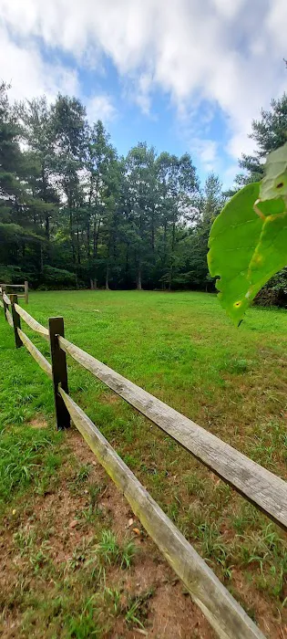 Green Ridge State Forest Campsite 23 Picture 1