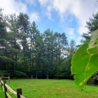 Green Ridge State Forest Campsite 23 ico