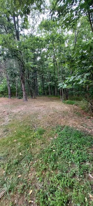 Green Ridge State Forest Campsite 23 Picture 4