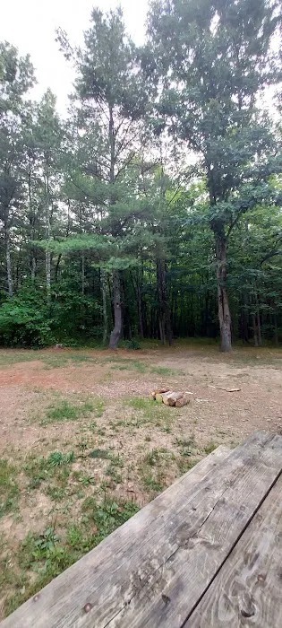 Green Ridge State Forest Campsite 23 Picture 3