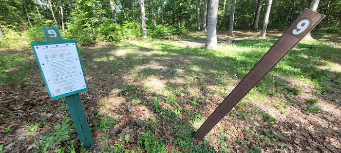 Green Ridge State Forest Camp Site #9 Picture 1