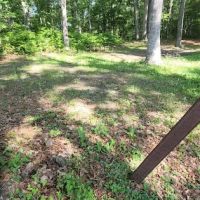 Green Ridge State Forest Camp Site #9 ico