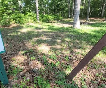 Green Ridge State Forest Camp Site #9