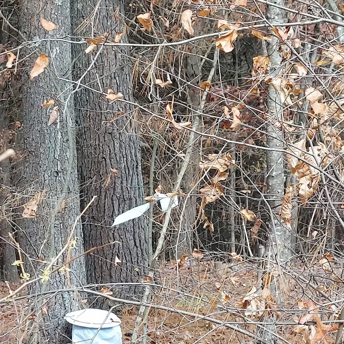 Campsite 14 Picture 2