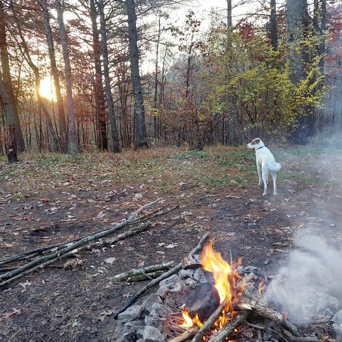 Campsite 14 Picture 4