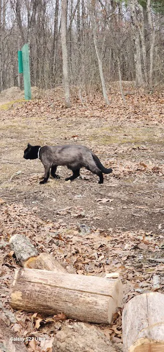 Green Ridge State Forest Campsite #22 Picture 1