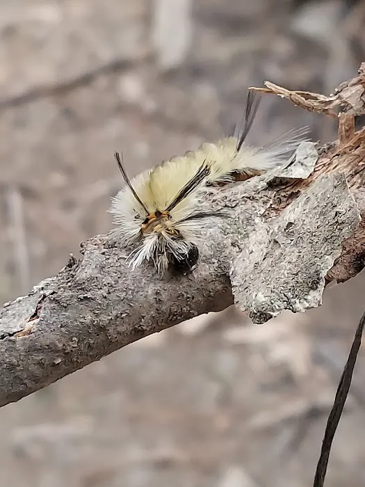 Campsite 13 Picture 2