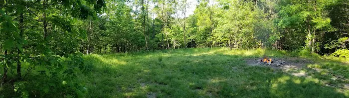 Green Ridge State Forest Campsite 20 Picture 1