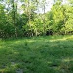 Green Ridge State Forest Campsite 20